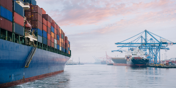 imgr-principal-zentra-logistic-3